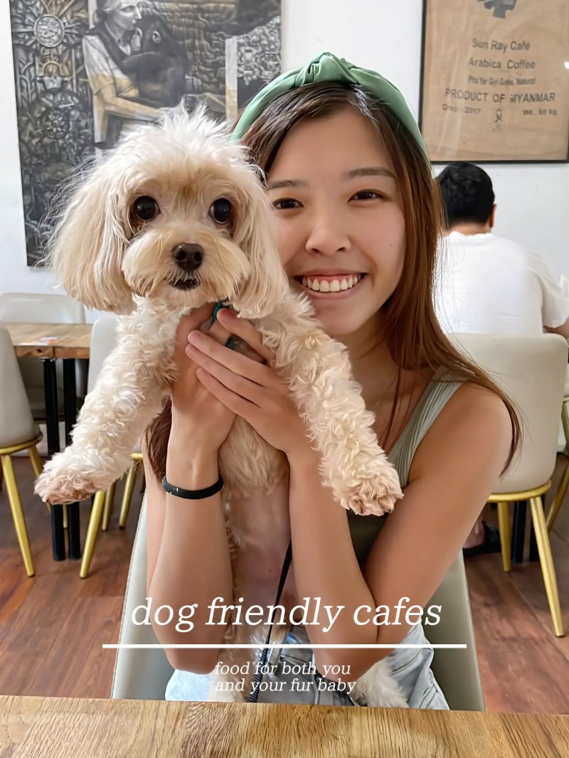 Best Dog Friendly Food Places Near Me