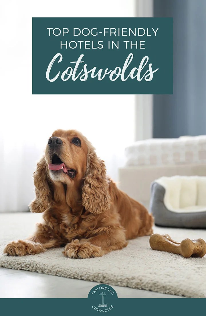 Best Dog Friendly Hotels Cotswolds