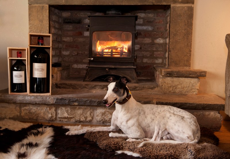 Best Dog Friendly Pubs Yorkshire Dales