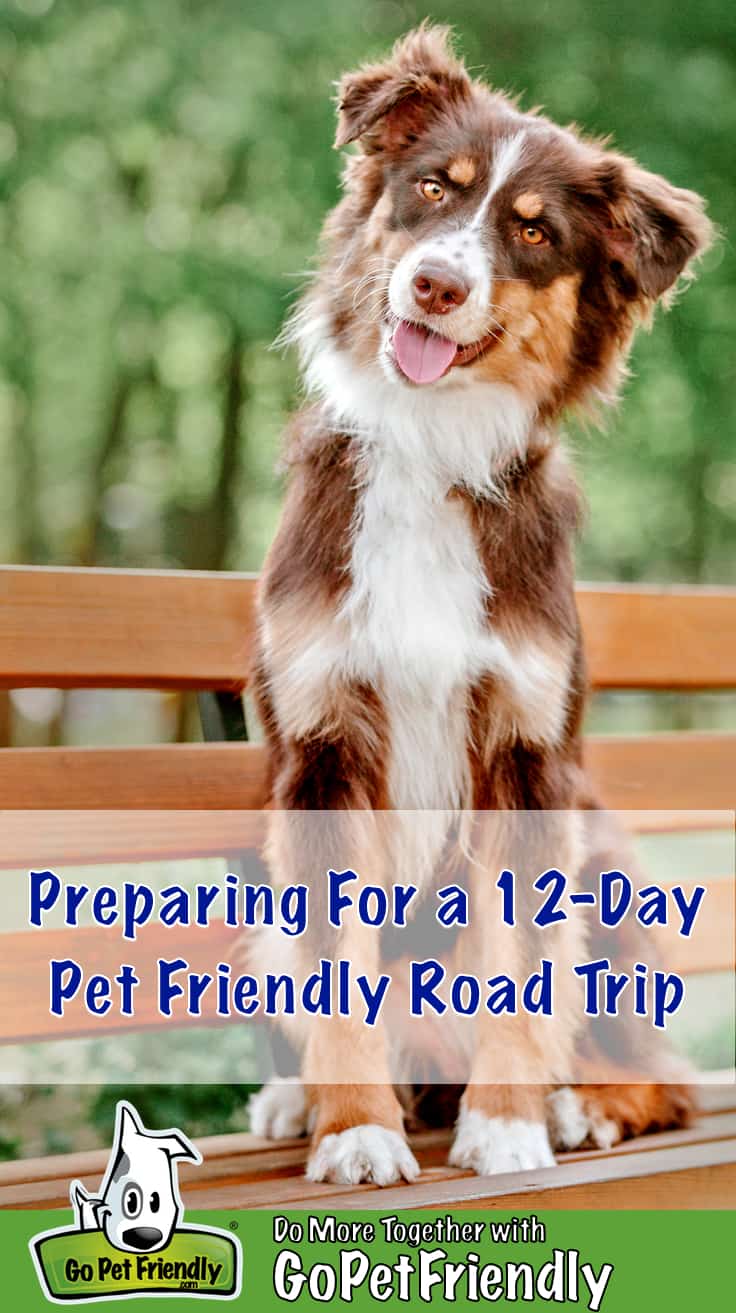 Best Dog Friendly Road Trips