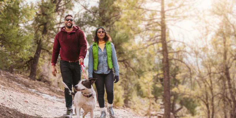 Best Dog Friendly Weekend Getaways California