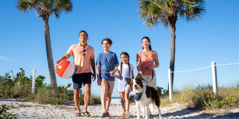 Best Pet Friendly Beach Resorts In Florida