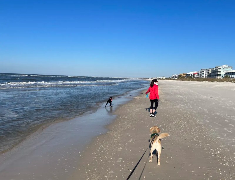 Dog Friendly Beach Vacations Near Me