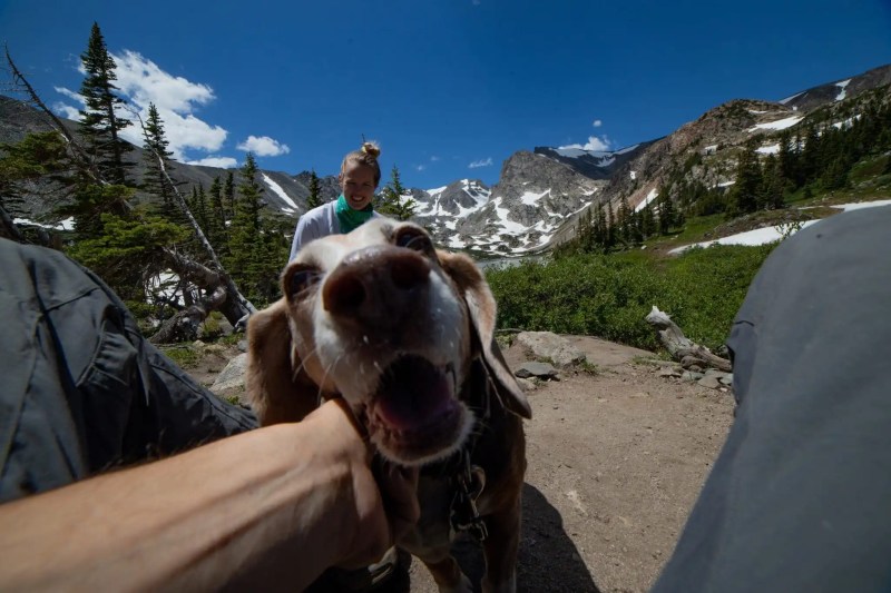 Dog Friendly Lodging Near Estes Park Co