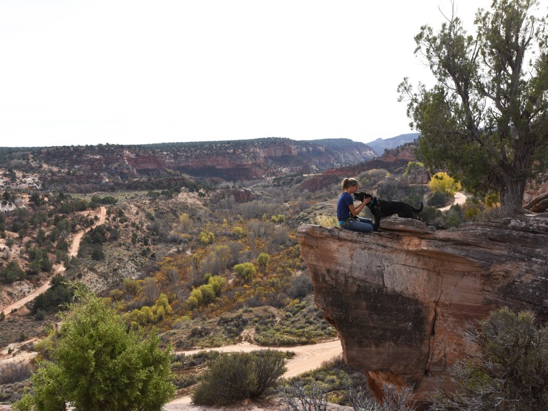 Dog Friendly Lodging Near Kanab Ut