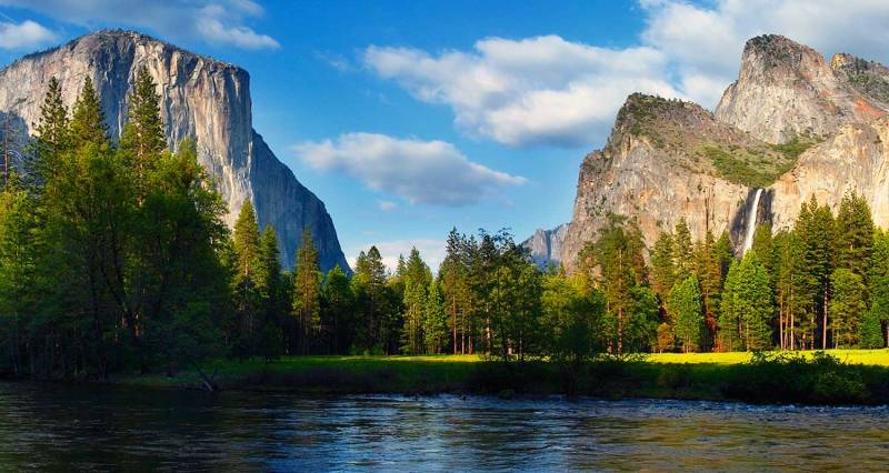 Dog Friendly Lodging Yosemite