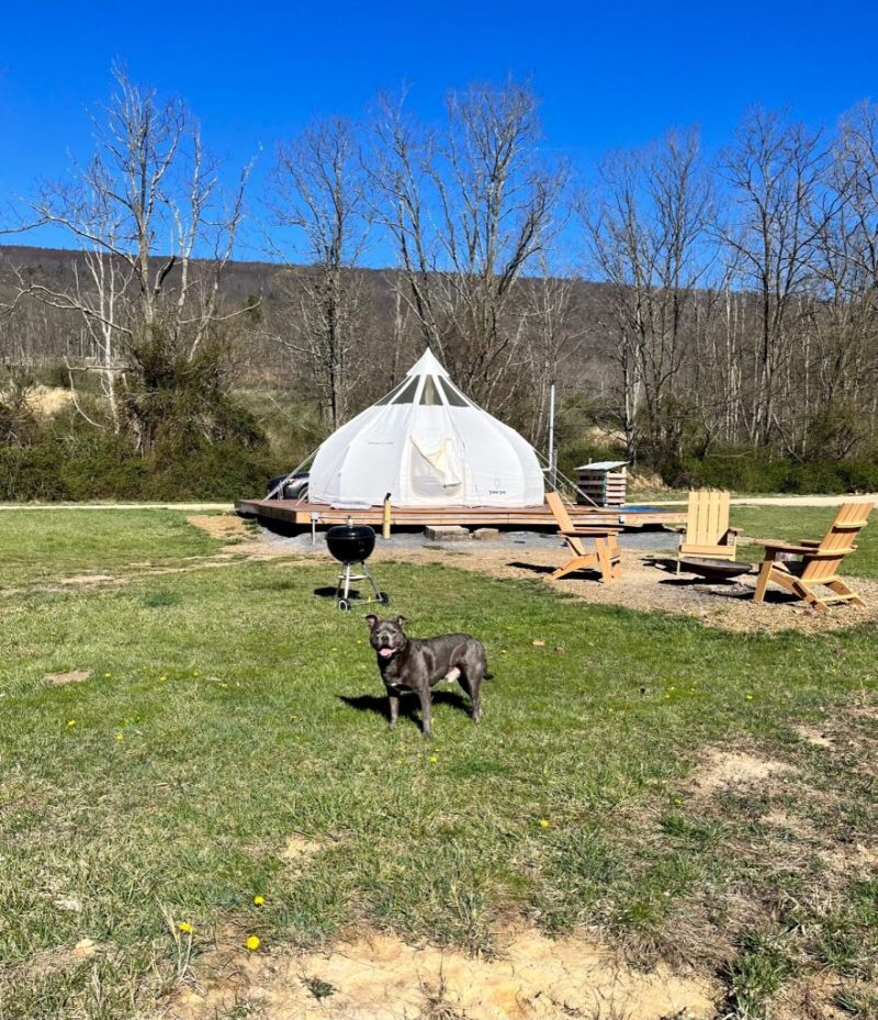 Dog Friendly Resorts Maryland