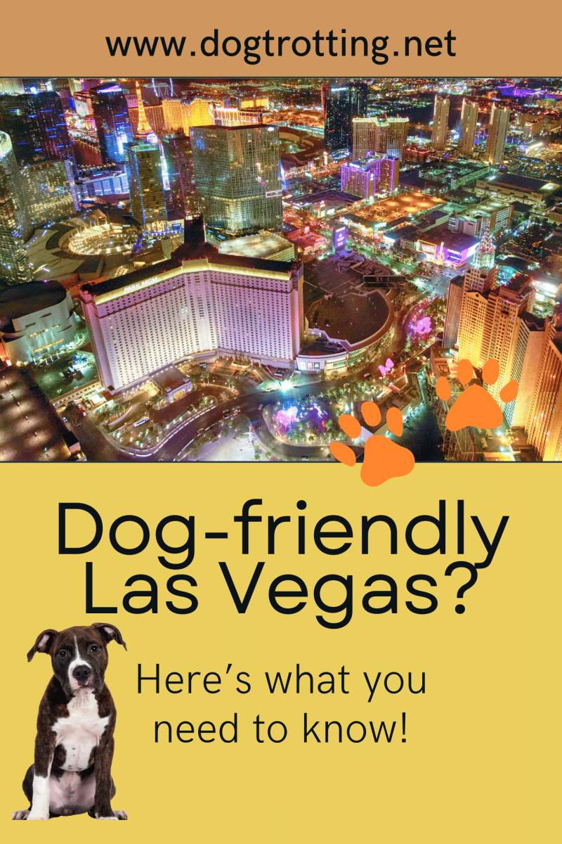 Dog Friendly Resorts Vegas