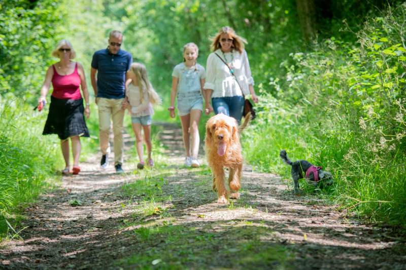 Dog Friendly Trips Uk