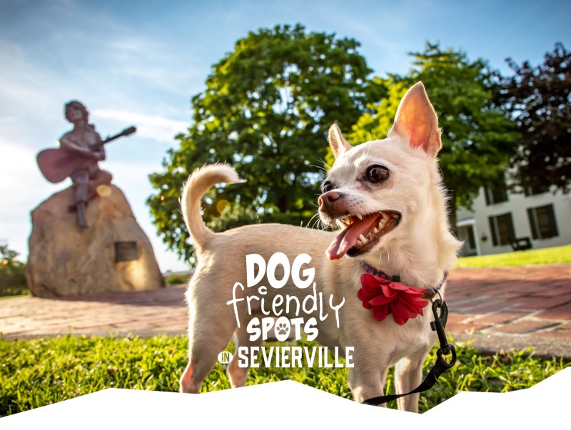 Dog Friendly Vacations Tennessee