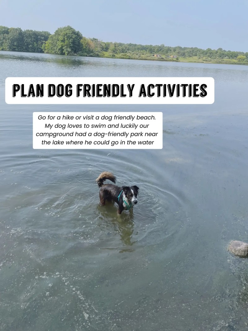 Pet Friendly Trip Planner