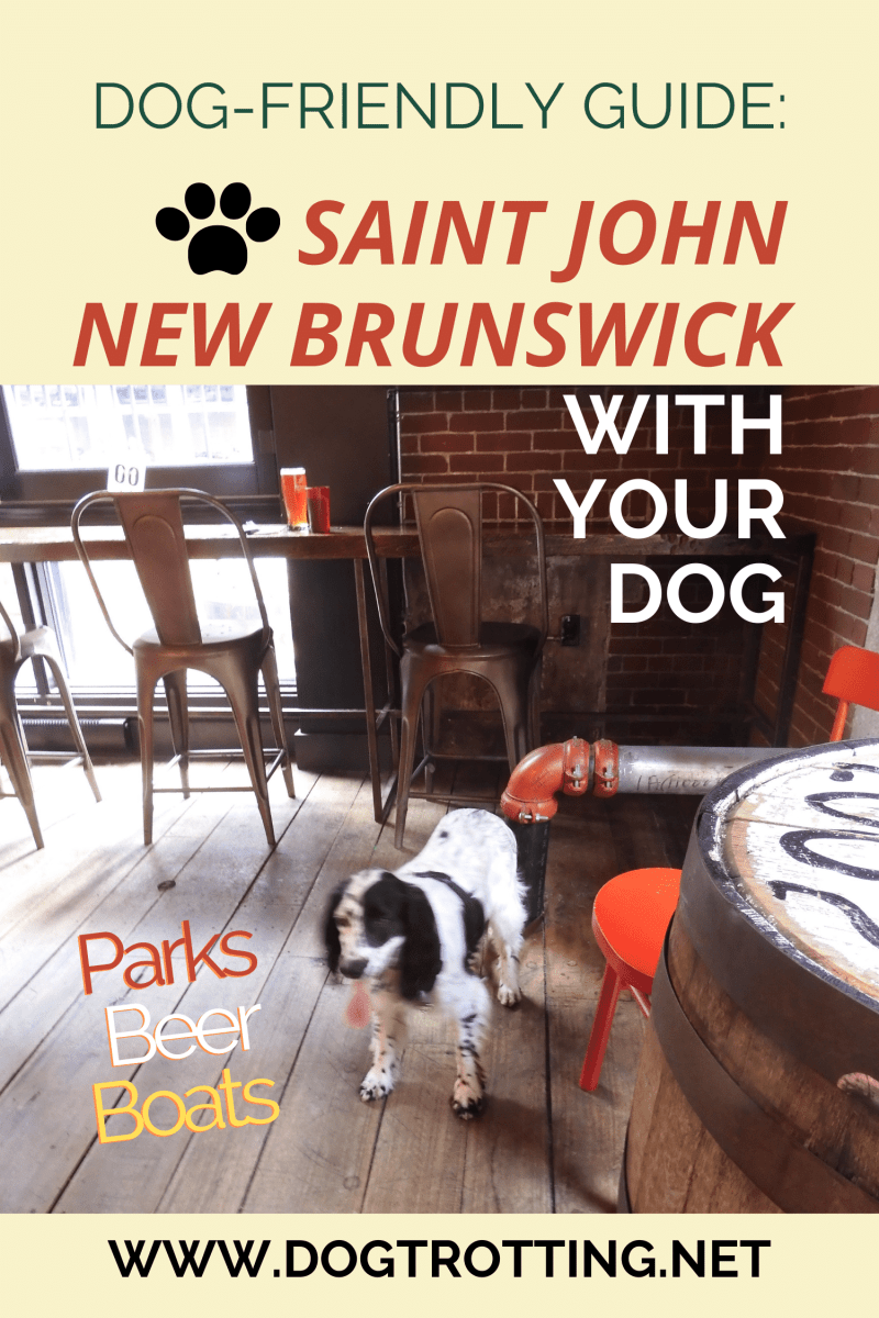 Restaurants With Patio Dog Friendly Near Me