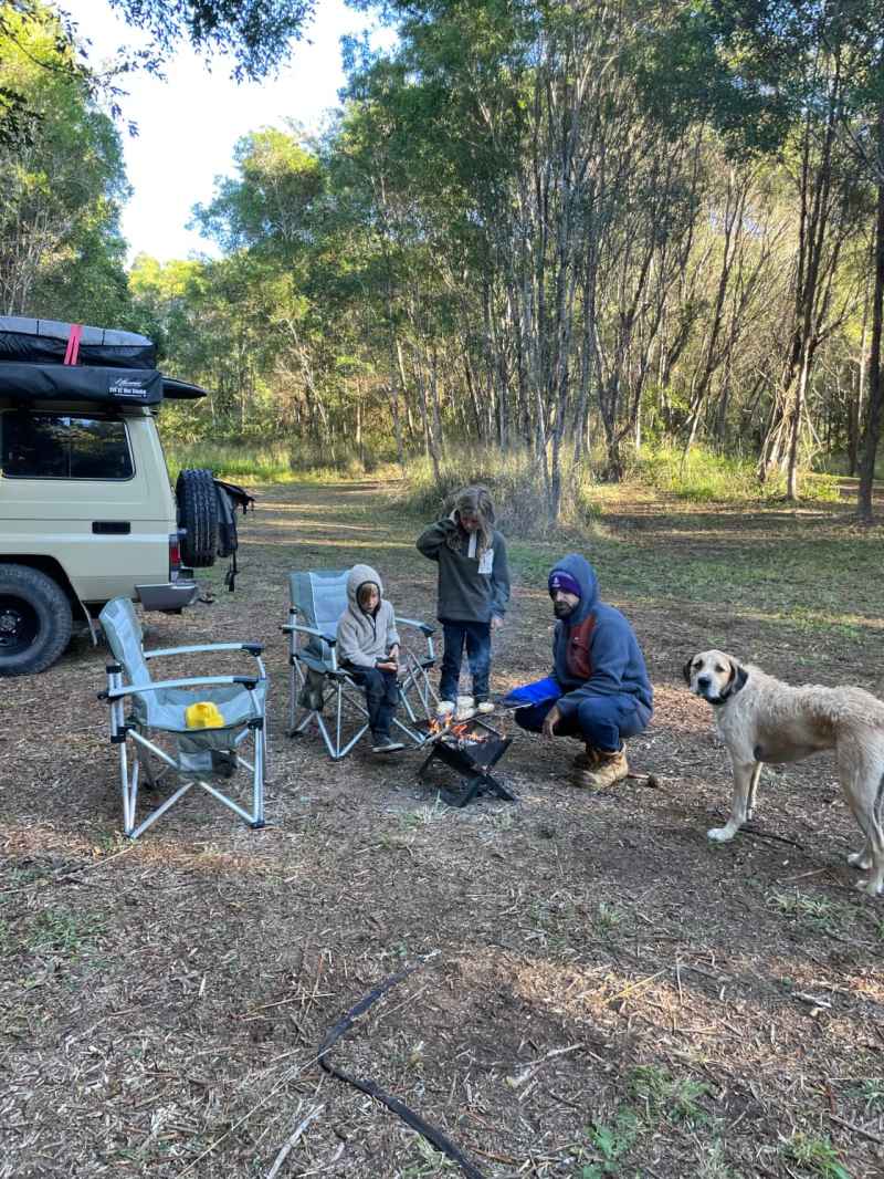 Best Dog Friendly Camping Qld