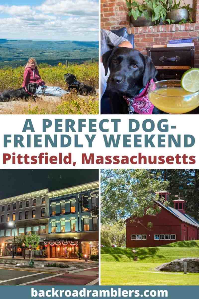 Best Dog Friendly Day Trips