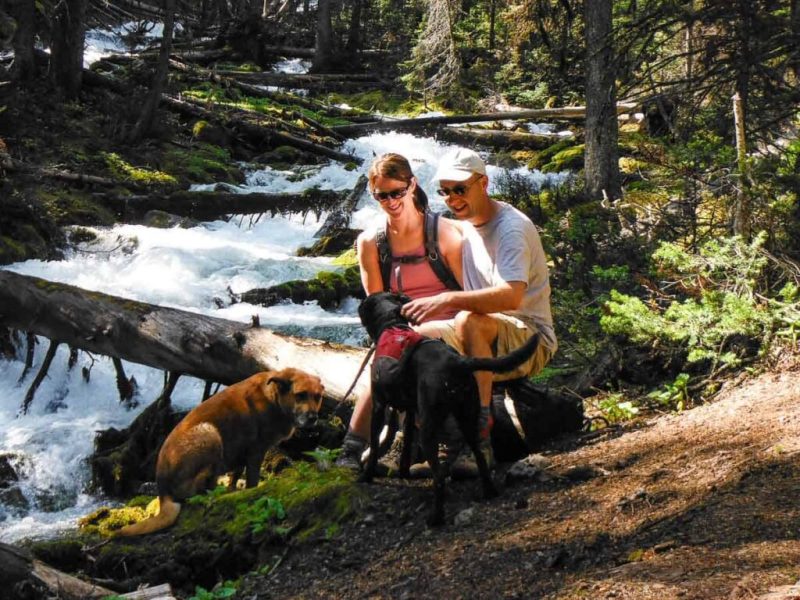 Best Dog Friendly Hikes Kananaskis