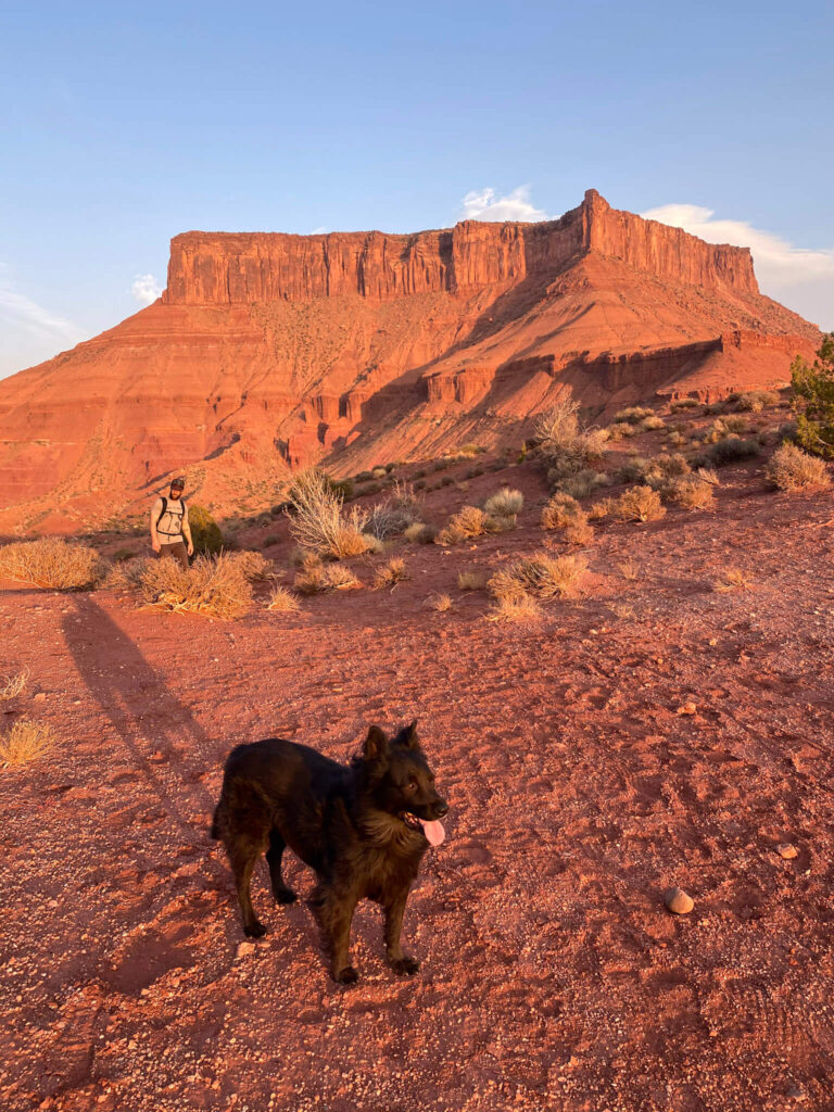 Best Dog Friendly Hikes Utah