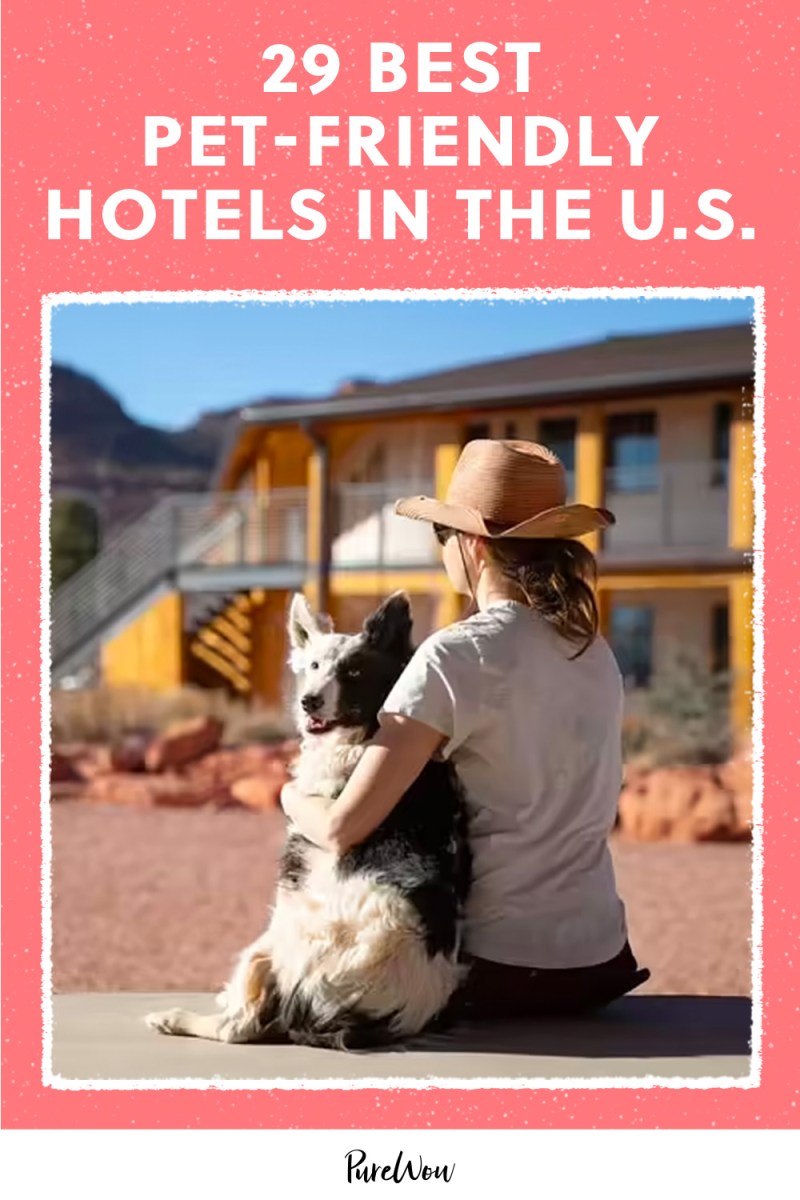 Best Dog Friendly Hotels