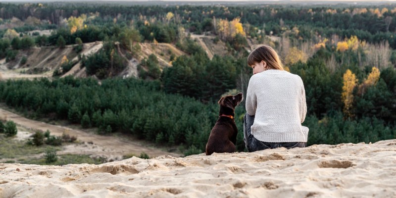 Best Dog Friendly Places To Travel