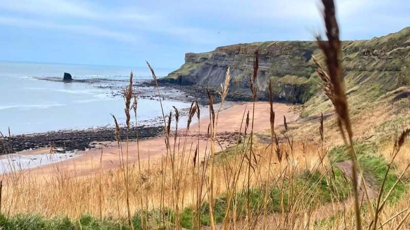 Dog Friendly Beaches East Coast Uk