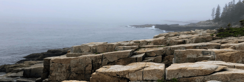 Dog Friendly Lodging Acadia National Park