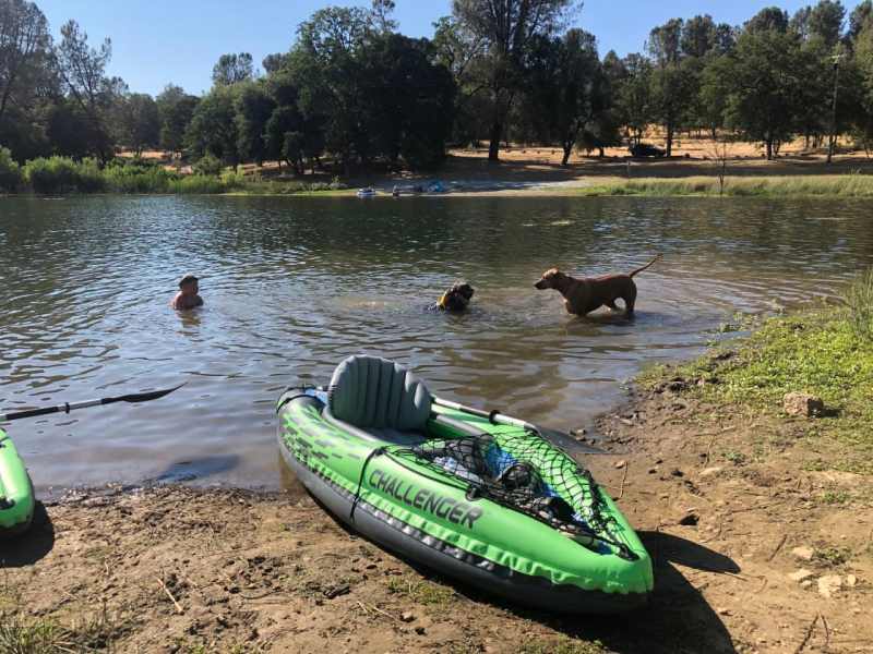 Dog Friendly Lodging Lake Tahoe