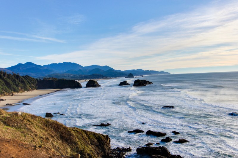 Dog Friendly Lodging Oregon Coast