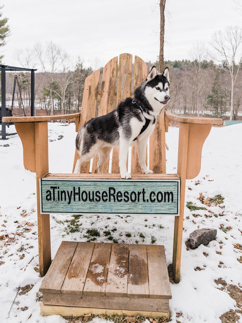 Dog Friendly Resorts Pennsylvania