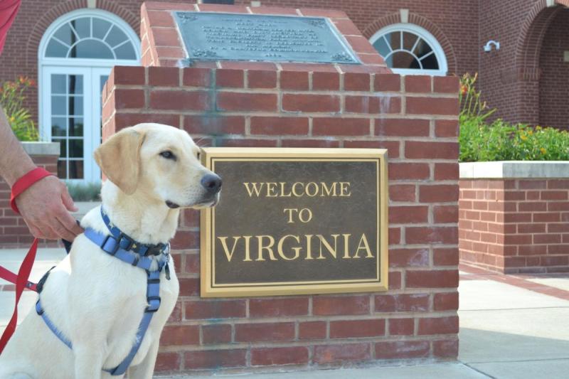 Dog Friendly Resorts Virginia